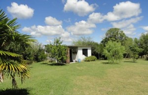 WhatsApp Image 2019-11-22 at 19.46.10 (4)